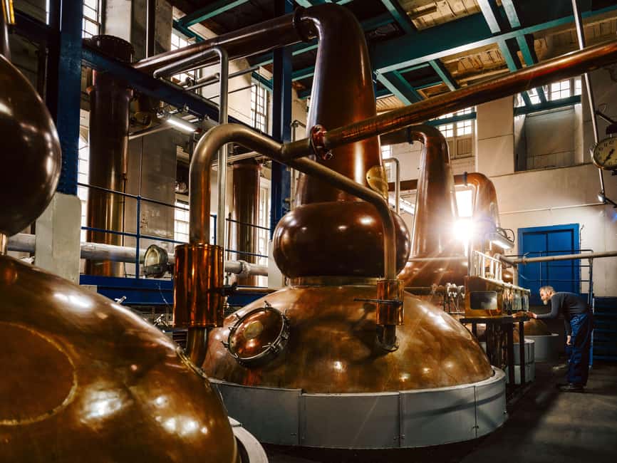Edinburgh to Scottish Highlands: Whisky, Views & Hairy Coos - Key points to know before booking