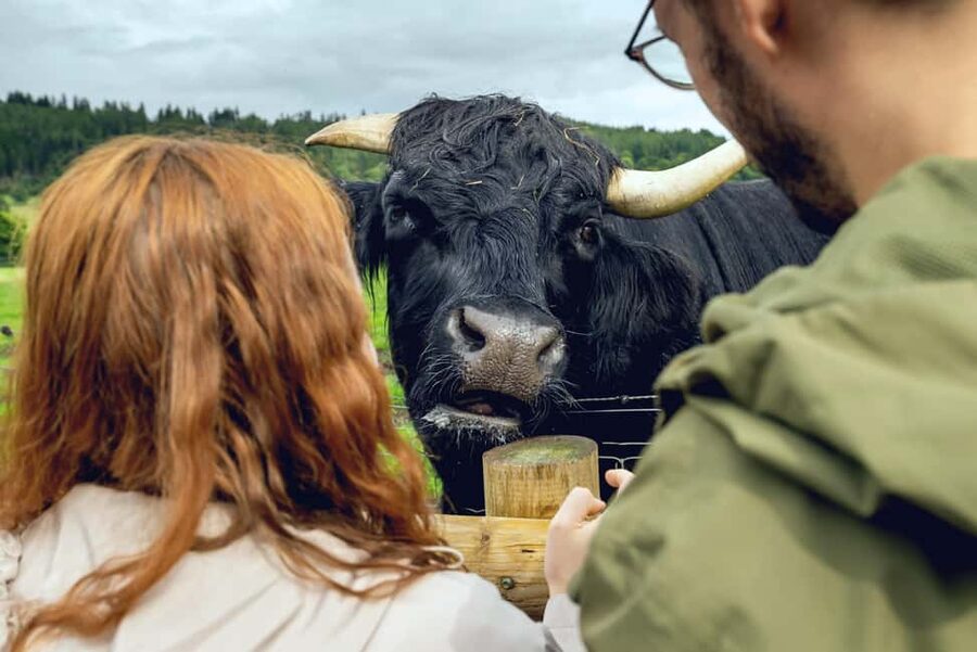 Edinburgh to Scottish Highlands: Whisky, Views & Hairy Coos - Deanston Distillery and the River Teith