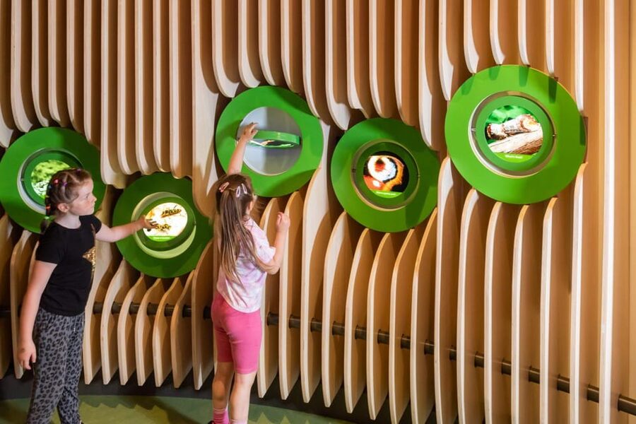 Eureka! Science + Discovery Centre Day Ticket - Access and practical comfort