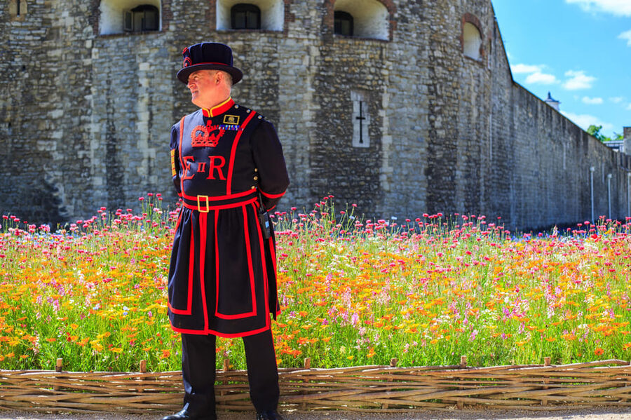 Exclusive Beefeater Meet & Greet at the Tower of London - Crown Jewels: the famous stop with a practical catch