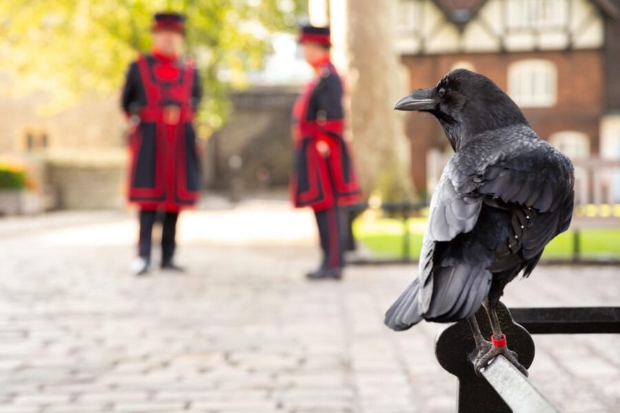 Exclusive Beefeater Meet & Greet at the Tower of London - How much time should you allow?