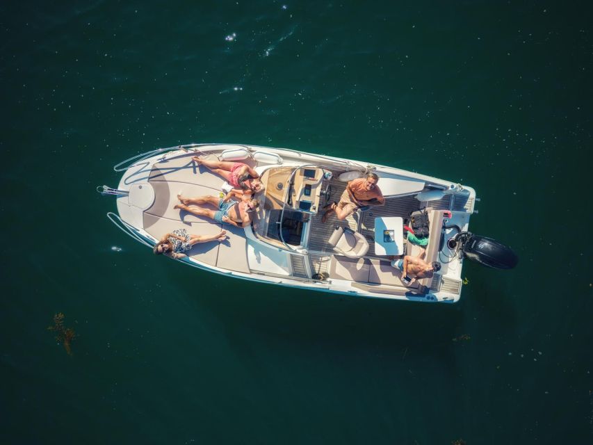 Falmouth Bay, Cornwall: Private Skippered Speed Boat Trip - Price and value for your group