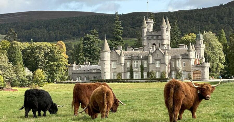 From Aberdeen: Balmoral Estate & Royal Deeside Tour - Cambus O’May Suspension Bridge over the Dee