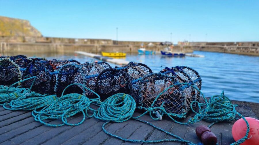 From Aberdeen: Coastal Villages of Aberdeenshire Tour - Cruden Bay and the final coastal walk