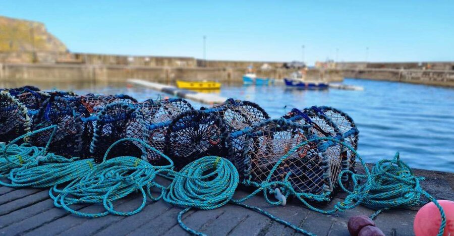 From Aberdeen: Coastal Villages of Aberdeenshire Tour - Gardenstown and the path toward Crovie