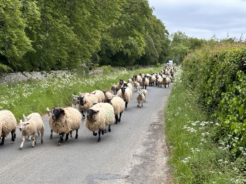 From Bath: Cotswolds Private Day Tour with Pickup - Key points to know before booking
