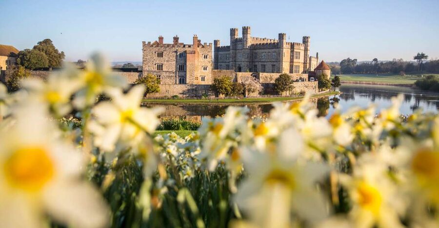 From Brighton: Leeds Castle & Canterbury Full-Day Trip - Free time gives you some control