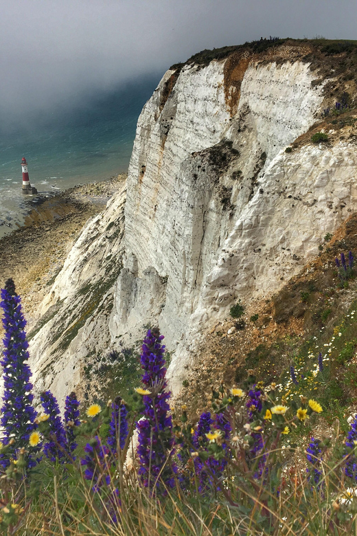 From Cambridge: Day trip to Brighton & The Seven Sisters - Birling Gap and the pebble beach