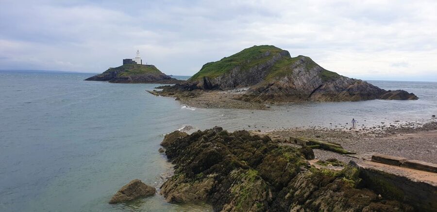 From Cardiff: Mumbles and Gower Peninsular Tour - Key points to know before booking
