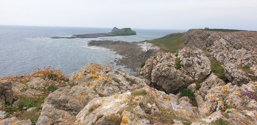 From Cardiff: Mumbles and Gower Peninsular Tour - What the $134 price includes