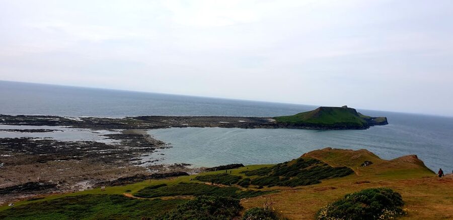 From Cardiff: Mumbles and Gower Peninsular Tour - Who should book this tour?