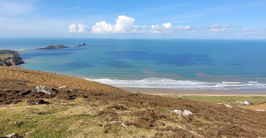From Cardiff: The Wandering Bard's Swansea Bay Day Tour - Mumbles brings lunch, shops, and a Welsh classic