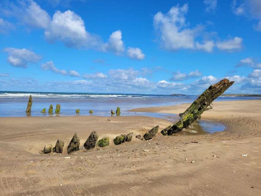 From Cardiff: The Wandering Bard's Swansea Bay Day Tour - Who will enjoy this day most