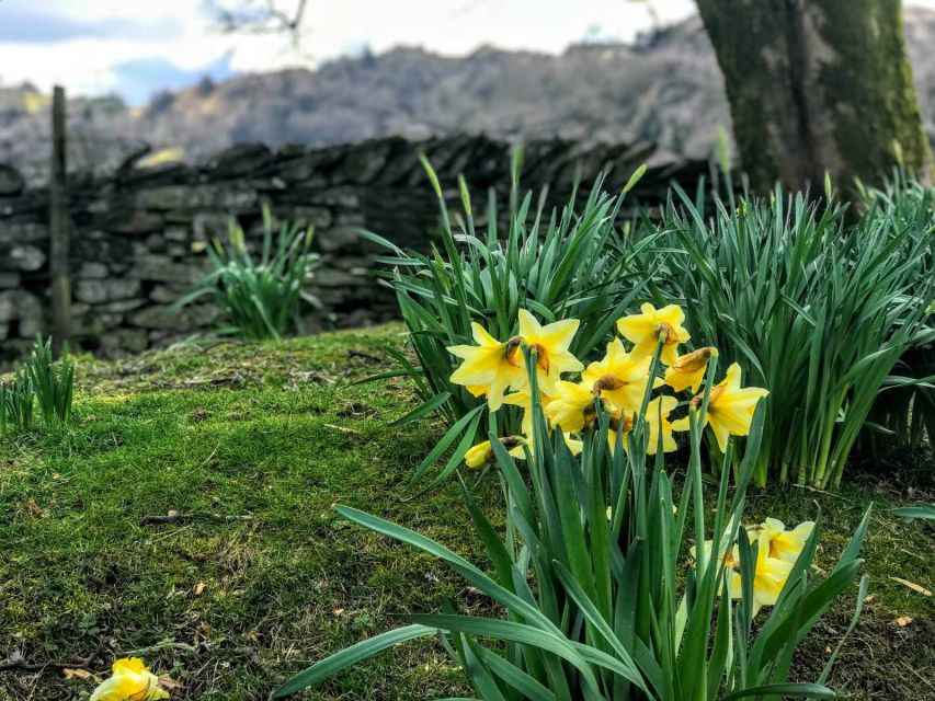 From Chester: Lake District Full-Day Guided Sightseeing Tour - Windermere to Ambleside by boat