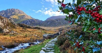 North Wales and Caernarfon Castle Tour