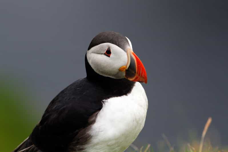 From Edinburgh: 4-Day Mull, Iona, Staffa & Puffin Isles tour - Why this west coast route works so well