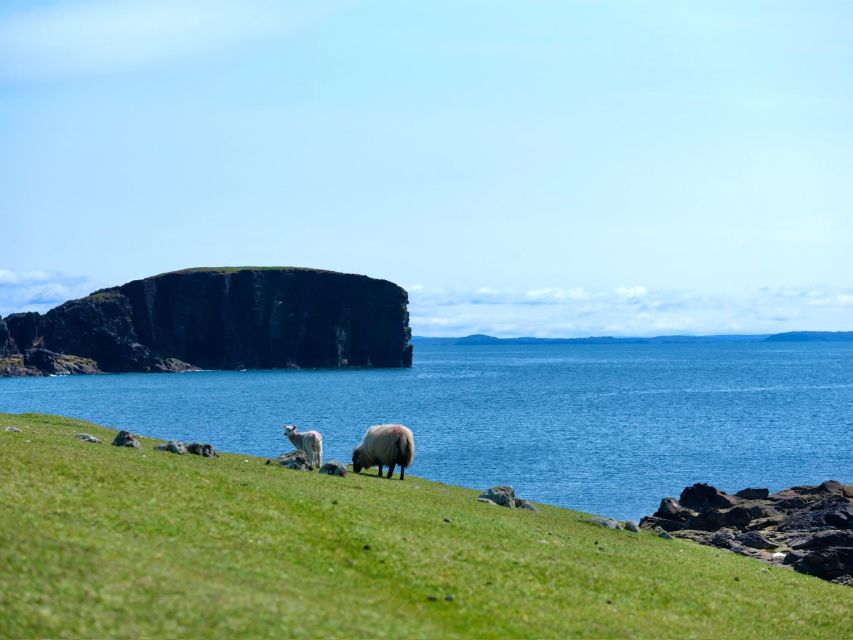 From Edinburgh: 6-Day Shetland & Nothernmost Explorer - Day One: Forth Bridge to an Overnight North Sea Crossing