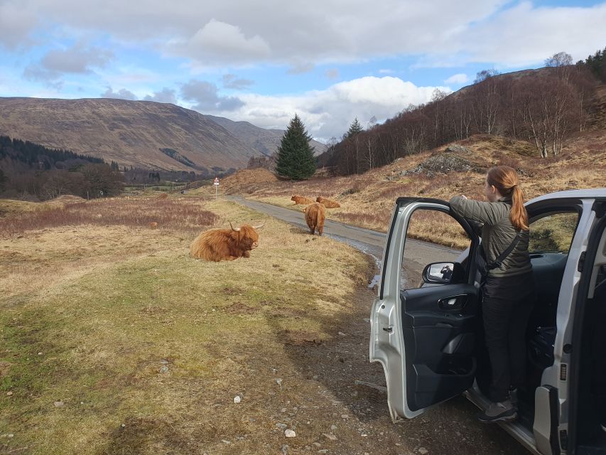 From Edinburgh: a Private Tour to a Majestic Highland Glen - Stone circles, Celtic crosses, and the Fortingall Yew