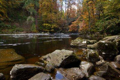 Best of Scotland Small-Group Day Tour