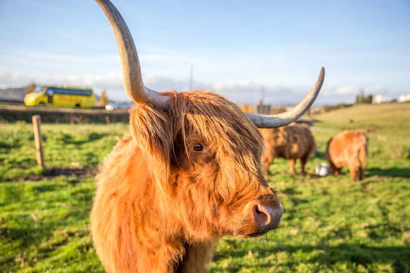 From Edinburgh: Isle of Skye & Highlands 3-Day Guided Tour - A full day on the Isle of Skye