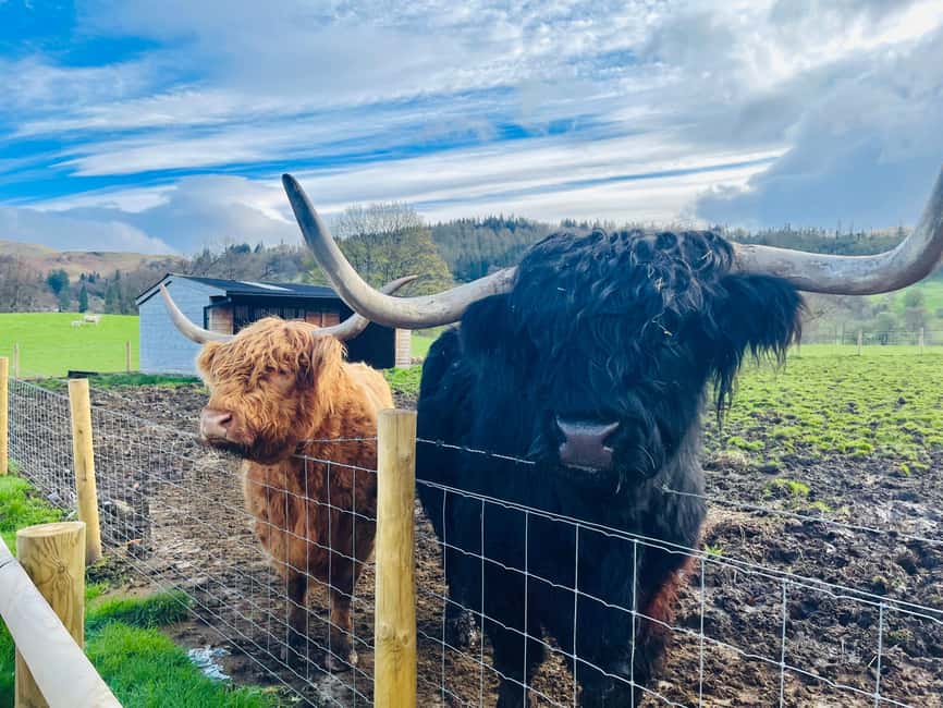 From Edinburgh: Loch Ness, Glencoe & The Highlands Day Trip - Loch Tulla viewpoint and the approach to Glencoe
