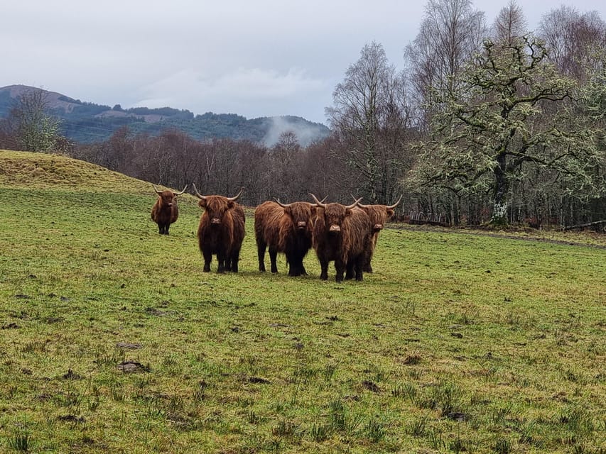From Edinburgh: Loch Ness Private Day Tour with Transfers - Key points at a glance