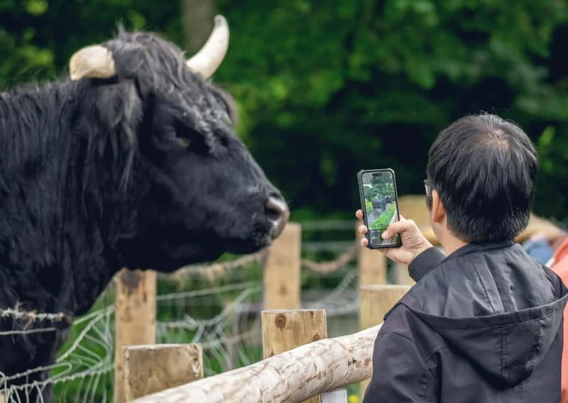 From Edinburgh: Stirling Castle, Kelpies and Loch Lomond - The Kelpies: a bold opening stop