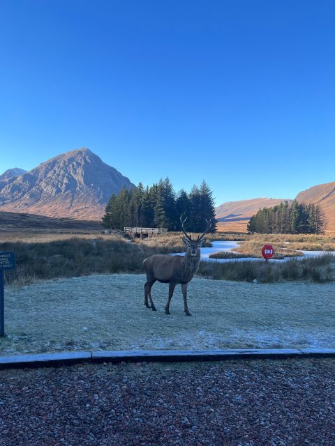 From Edinburgh: The Kelpies, Glencoe & Loch Lomond Day Tour - Leaving Edinburgh through Callander and Kilmahog