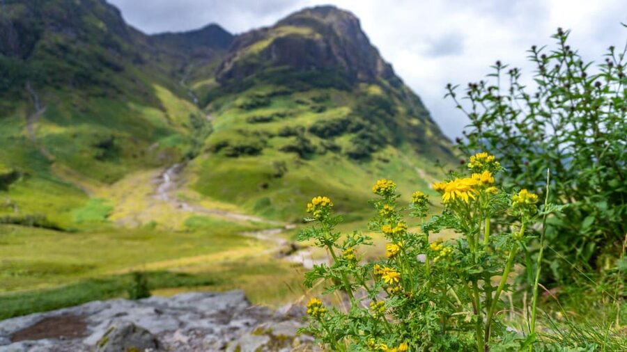 From Glasgow: Loch Ness, Glencoe and Scottish Highlands Trip - Pitlochry makes a useful final pause