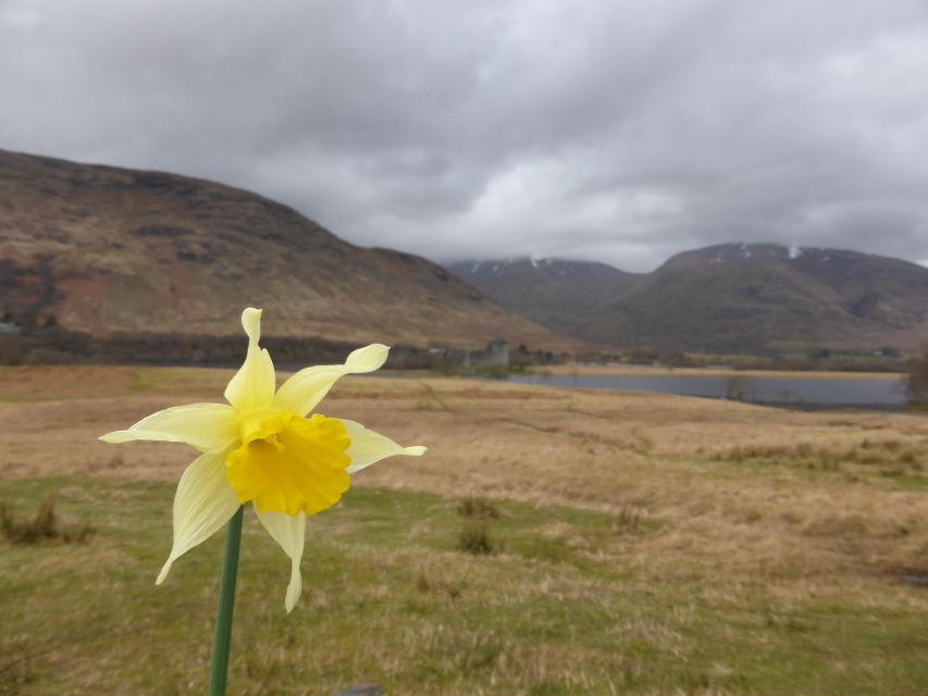 From Glasgow: Scottish Highlands & Isle of Skye 5-Day Tour - Accommodation, meals, and what the price covers