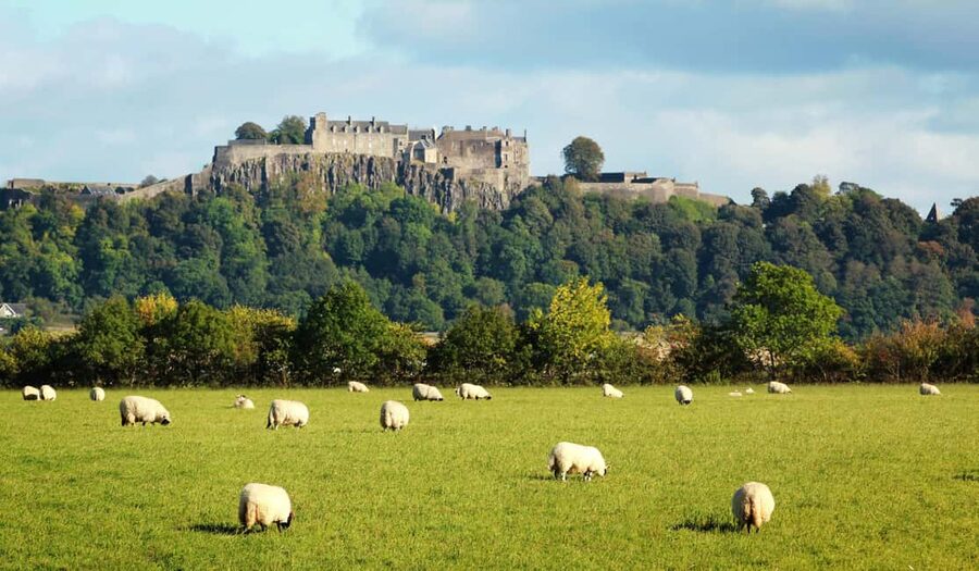 From Glasgow; Stirling and Scenic District 7 Hour Tour - Mike’s guiding style and the value of a private group