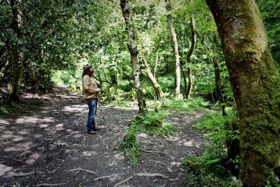 From Glastonbury: 2-Day Tintagel, Boscastle & Dartmoor Tour - Wistman’s Faerie Wood and the Dartmoor mood