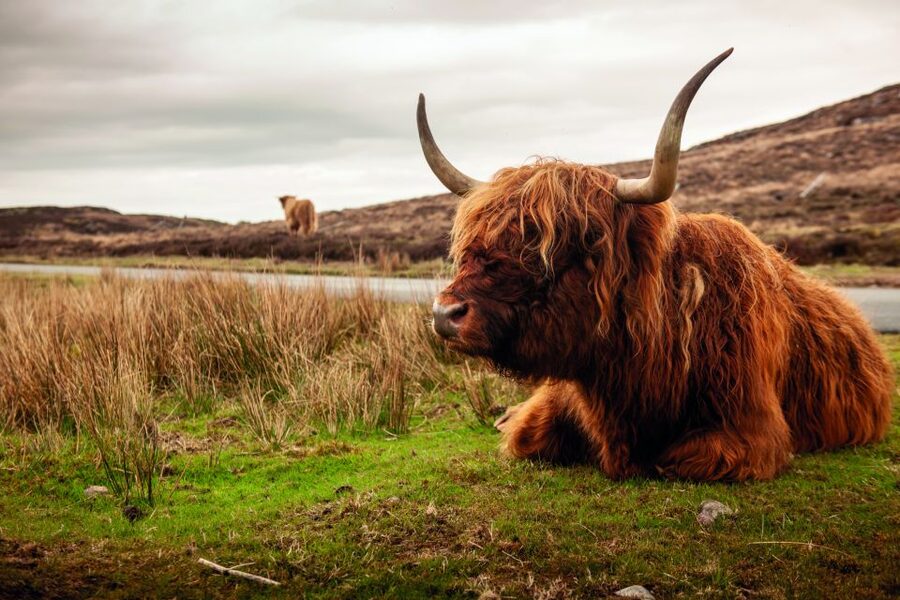 From Inverness: 3-Day Orkney Explorer - Weather, walking, and what to pack