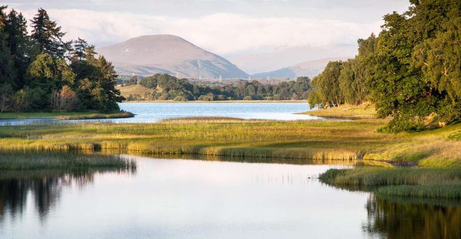 From Inverness: Cairngorms National Park and Whisky Tour - Cairngorms views, a Highland village, and a Tomatin dram