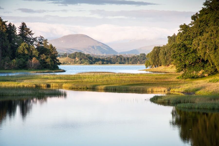 From Inverness: Cairngorms National Park and Whisky Tour - Leaving Inverness for Dava Moor