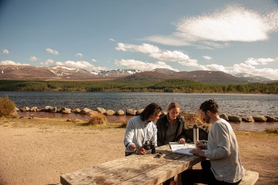 From Inverness: Cairngorms National Park and Whisky Tour - Carrbridge and the Old Packhorse Bridge