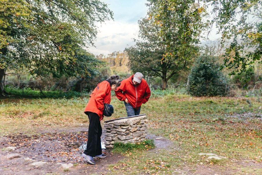 From Inverness: Glen Affric, Culloden, and Clava Cairns Tour - Clava Cairns and the quiet power of ancient stones