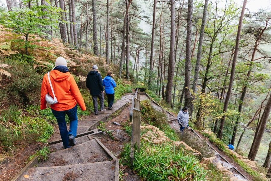 From Inverness: Loch Ness Guided Day Trip - Following the Caledonian Canal toward Loch Ness