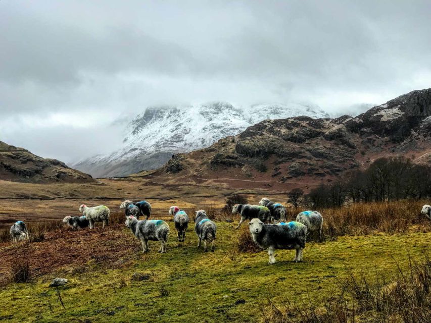 From Liverpool: Lake District Sightseeing Adventure Day Trip - Grasmere combines poetry and gingerbread