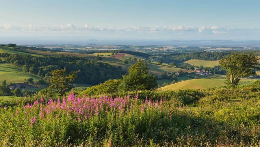 From London: Canterbury & White Cliffs of Dover Tour - Canterbury Cathedral and the old city