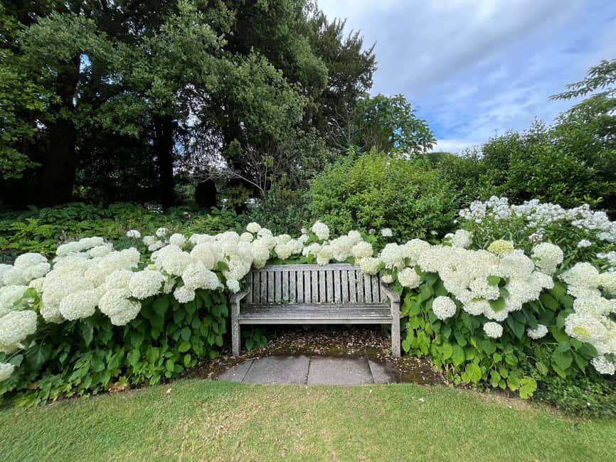 From London: Day Trip to Downton Abbey, Oxford and Bampton - Who should book this trip?
