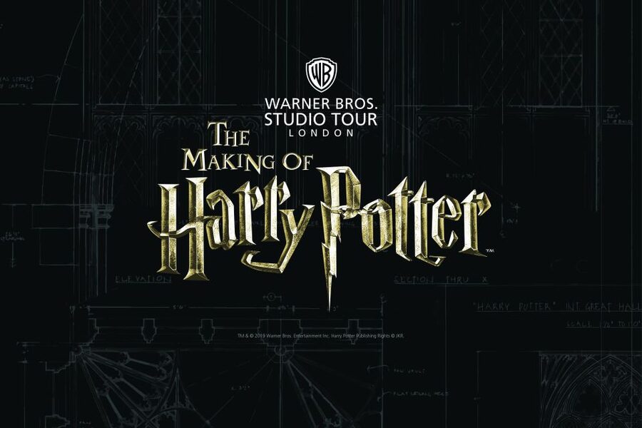 From London: Harry Potter Family Package with Transfers - Why this Harry Potter day works so well for families