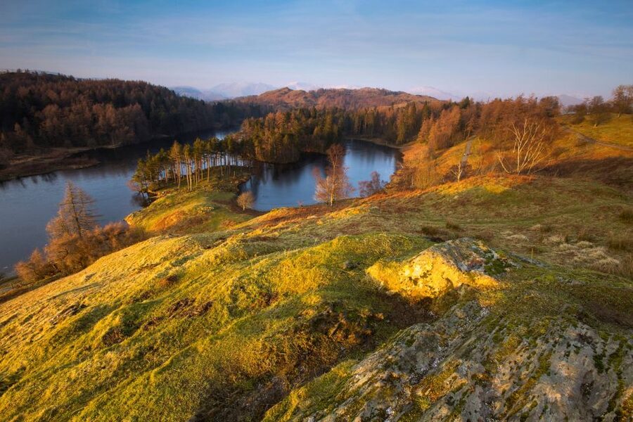 From London: Lake District Tour with Cream Tea & Cruise - Tarn Hows, Yewdale, and the film connection