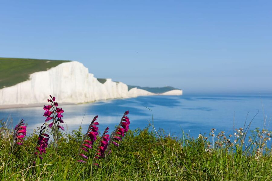 From London: Seven Sisters and Brighton Full-Day Tour - Brighton is the transport hub, not the main first stop