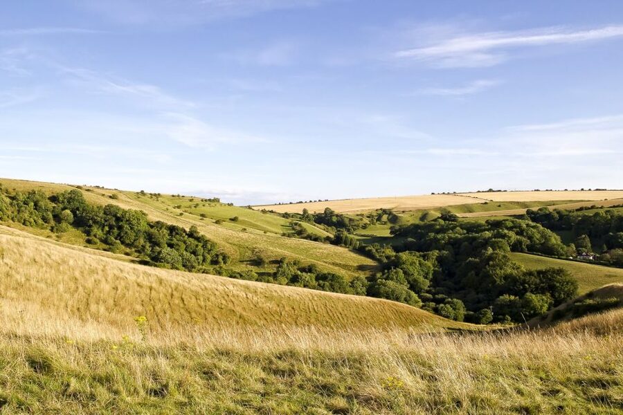 From London: Stonehenge and Bath Day Trip with Ticket - Is $114 good value?