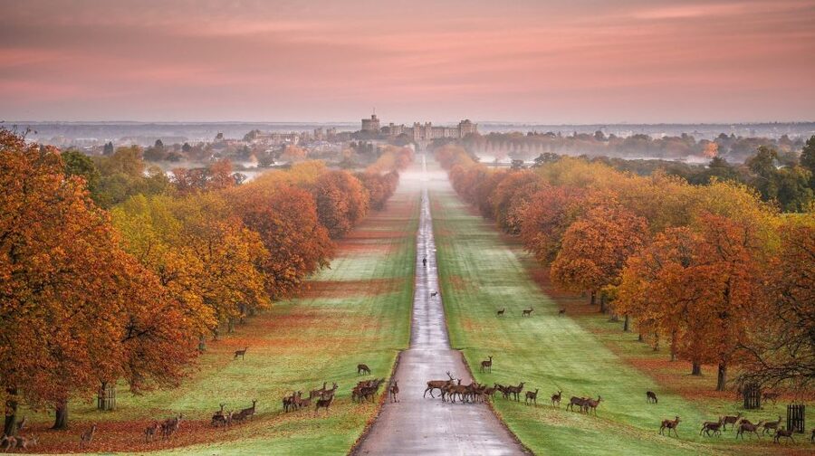 From London: Stonehenge, Windsor and Salisbury Guided Tour - Windsor Castle and centuries of royal life