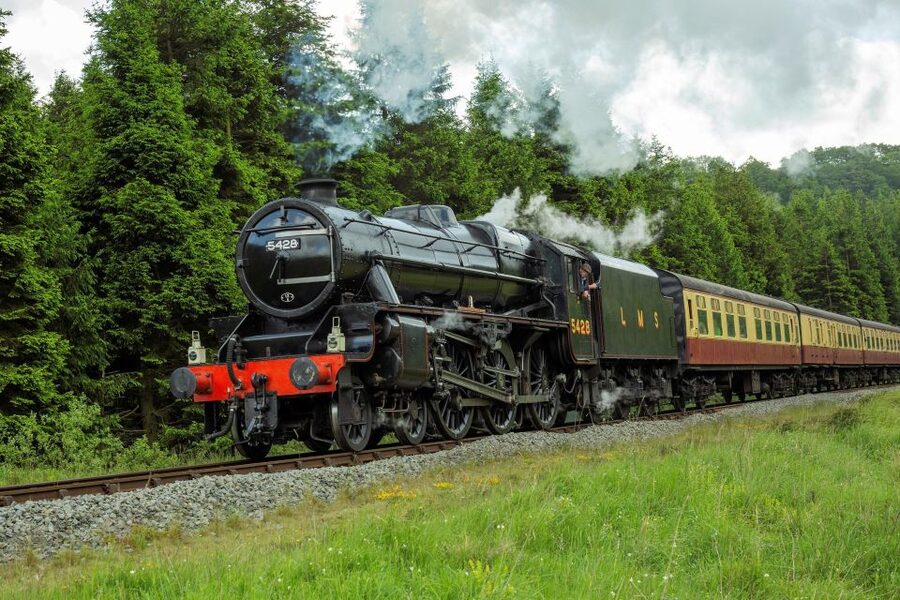 From London: The North York Moors with Steam Train to Whitby - Four things to know before booking