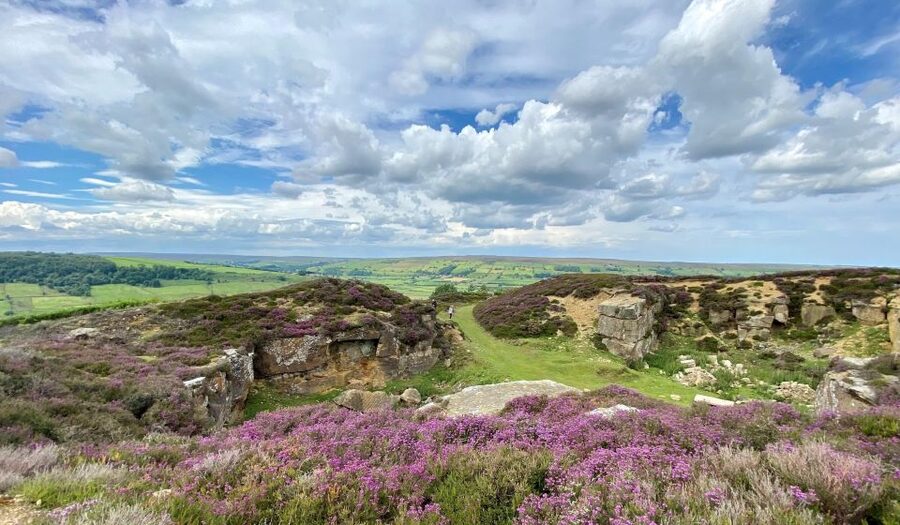 From London: The North York Moors with Steam Train to Whitby - The North York Moors by narrow road