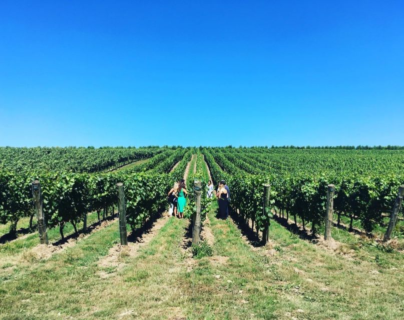 From London: Vintage Bus Wine Tour with Return Train Tickets - Timing, weather, and small practical choices