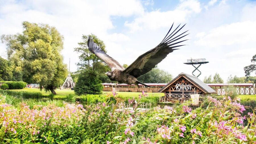 From London: Warwick Castle Day Trip by Rail - How to Plan Your Castle Day
